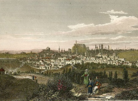 Вид Алеппо.