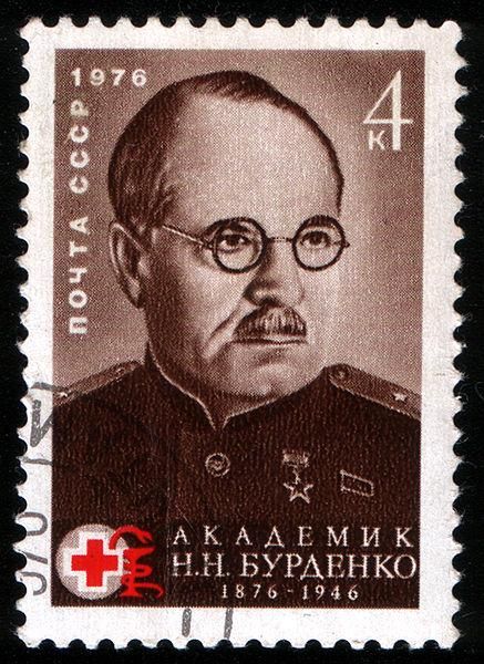 Марка, посвященная 100-летию со дня рождения Н. Н. Бурденко